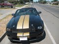 The Sound of Wildfire - The Drag Mustang