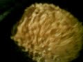 Our Giiant Cookiie