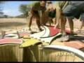 videos de Episode Five Immunity Challenge