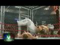 Smackdown Vs. Raw 2009: Career Mode