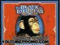 videos de black eyed peas - disco club (large pro peas re - Renegotiat