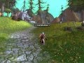 Wow - Skin and Bones