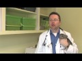 Chinchilla Pets : Owning a Pet Chinchilla