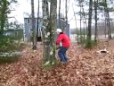 chubacca takes a crap in my lawn