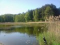 Uciekałaś.wmv