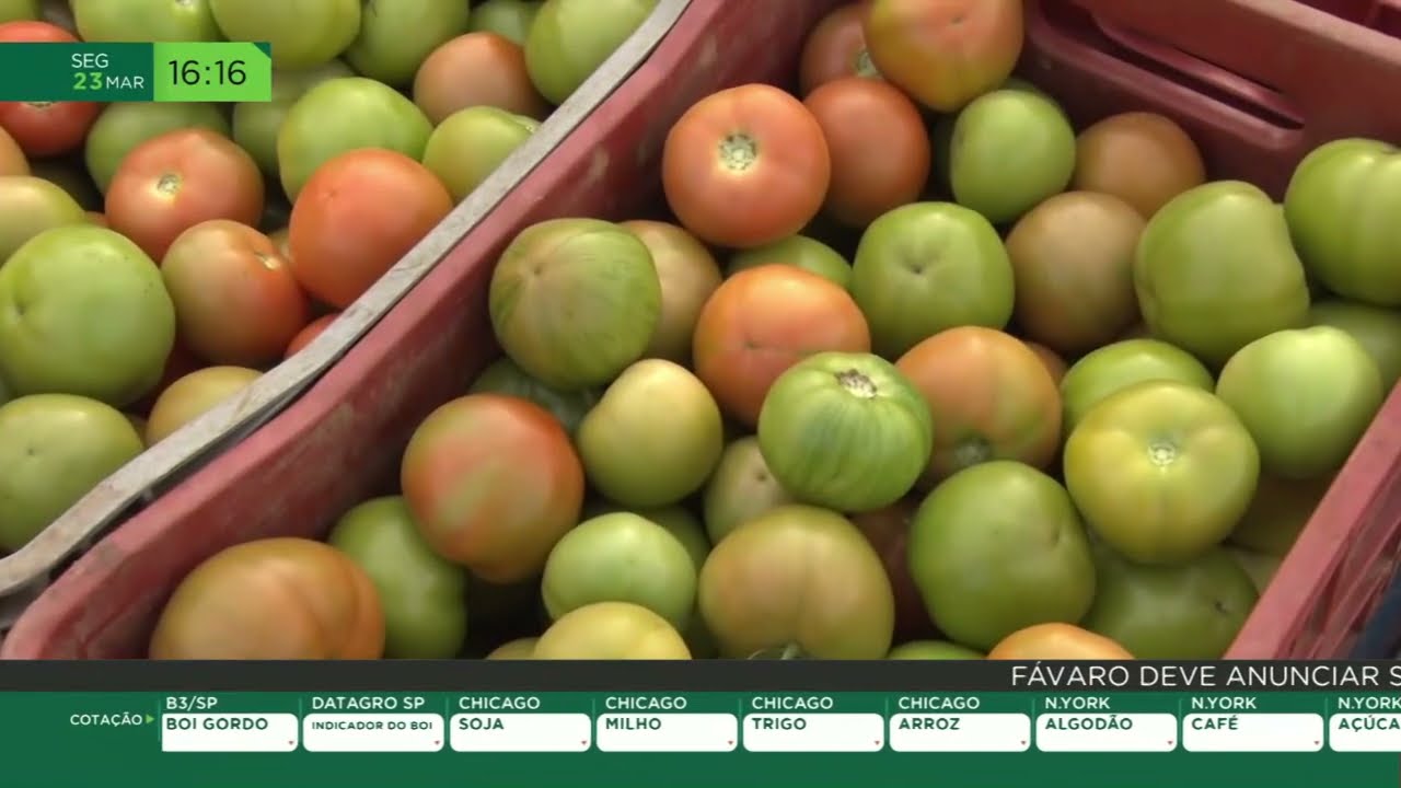 Queda nos preços puxa recuo do faturamento no campo