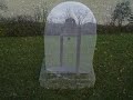 ST GEORGES CEMETERY DAYTIME