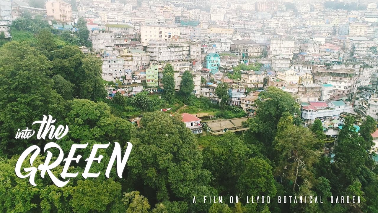 Into the Green: A film on Lloyd Botanical Garden, Darjeeling (Eng.)