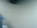 el abuelo cojelon , victima: una mojarra