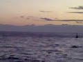 segnalamento iala