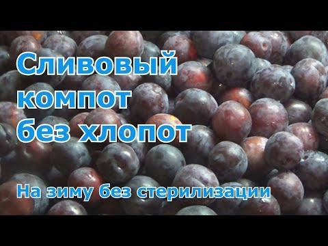 Компот из слив на зиму. Самый простой и вкусный рецепт без стерилизации