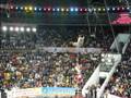 Acrobatic Festival