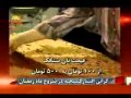 گراني مواد غذايي وسفرهاي خالي درماه رمضان