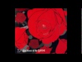 Video screenshot