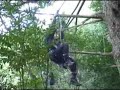 空師堂　ロープで木登り