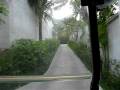 videos de Driving around Posh Hotel in Golf Card - Koh Samui Thailand
