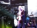 REM-Animal REM-Animal