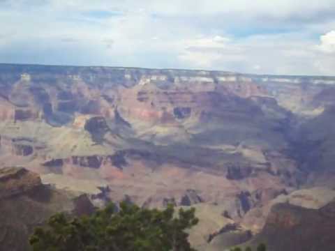 grand national results