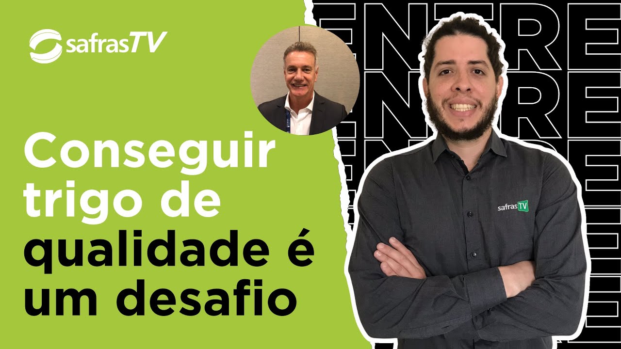 Dirigente da Abitrigo fala sobre busca por trigo de qualidade em meio a adversidades climáticas