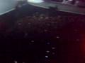 Queen - We Are The Champions (Live in Argentina, Velez Sarfield Stadium Buenos Aires 21-11-2008)