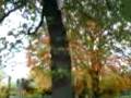 videos de hamburg autmn.3gp