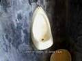 Dry Toilet-Barrio La Vega