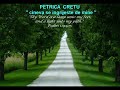 PETRICA-CRETU-Romani