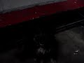 Dog getting mad at christmas