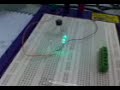leds leds