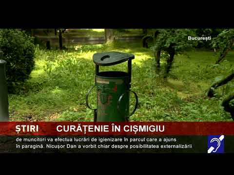 Curățenie în Cișmigiu