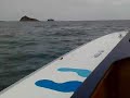 79.6MPH Fast Cat C3 79.6MPH Fast Cat C3