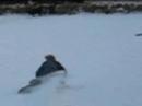 Airboard-Fun Airboard-Fun