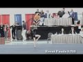Level 7 State Champion-Ohio 9 Yr. Old Tessa