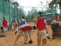 Paintball lezados