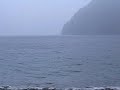 A rocky beach! A rocky beach!