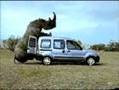 Rhino gets friendly with mini-van