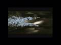Mortal Kombat Armageddon,Deception,Deadly Alliance Trailer