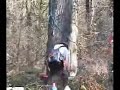Chain Saw Safety
