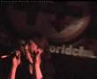 zebre - totuna (live)