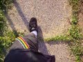 YG12-WALKING!