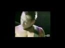 Stigfits - Hatebreeders Stigfits - Hatebreeders