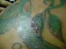 Cadar tattoo (N�lio))