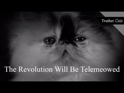 TRUTHER - Truther Cats asks one simple question: Are humans the top of the food chain or have animals just manipulated them into thinking so? In each video, our parano...