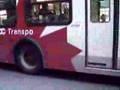 videos de OC Transpo New Flyer D40i 4347 & D60LF 6310