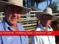 $150,000 record for Droughtmaster bull