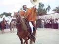 Caballos de paso