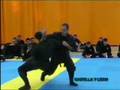 Seminaire nin-jutsu