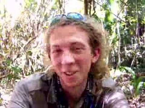 Jungle Dispair...