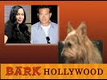 It's Todd's Show Ep27 The Lawn Ranger & Squirrelvision