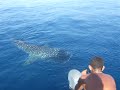 shark pics plus t&j 008.mov